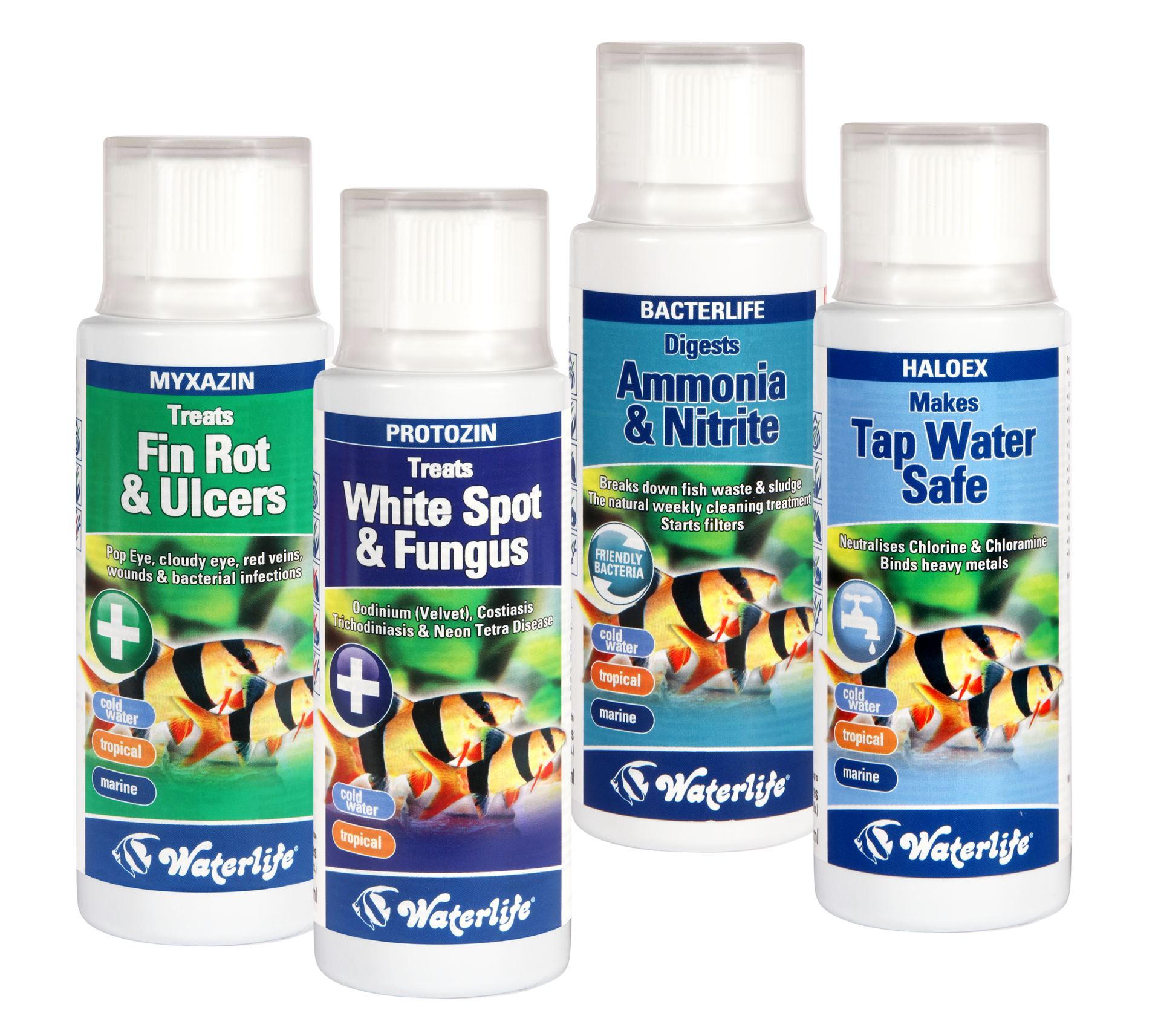 Fin rot & Uicers, White spot & Fungus, Ammonia & Nitrite, Tap water safe 4 bottles of waterlife products