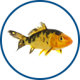 Waterlife fish icon pond